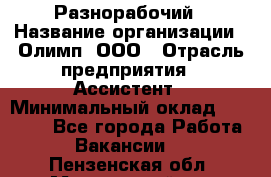 Разнорабочий › Название организации ­ Олимп, ООО › Отрасль предприятия ­ Ассистент › Минимальный оклад ­ 25 000 - Все города Работа » Вакансии   . Пензенская обл.,Мокшанский р-н